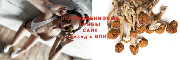 Альфа ПВП Новозыбков