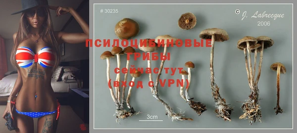 mix Аркадак