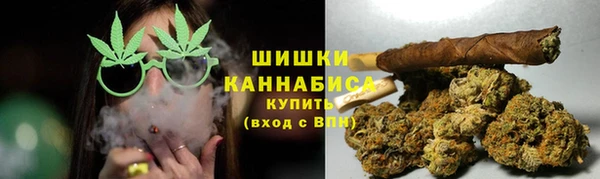 гашик Новодвинск