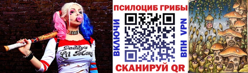 купить   Малоярославец  Псилоцибиновые грибы ЛСД 
